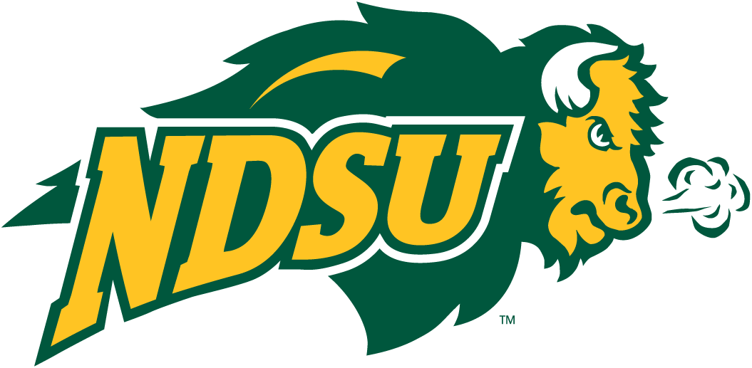 North Dakota State Bison 2005-2011 Secondary Logo v2 diy iron on heat transfer